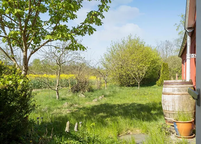 Stunning In With Wifi *